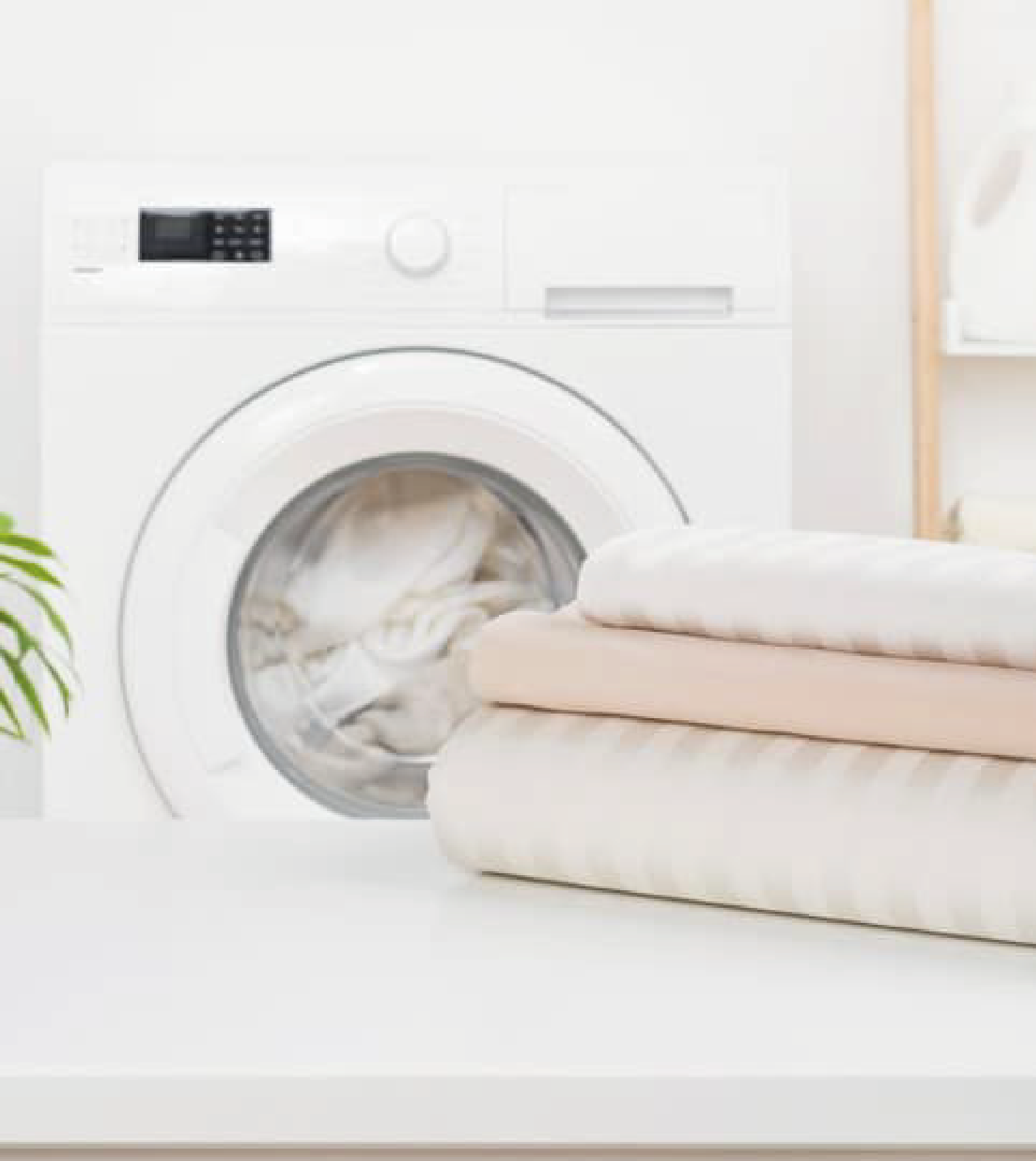entretien du linge et du logement